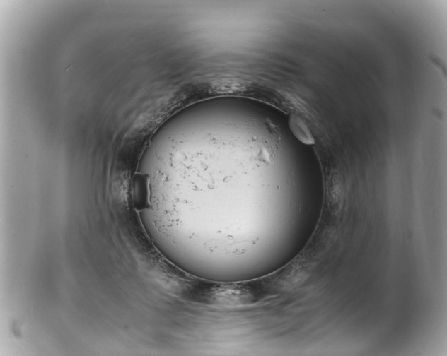 X0000100980315200807011449