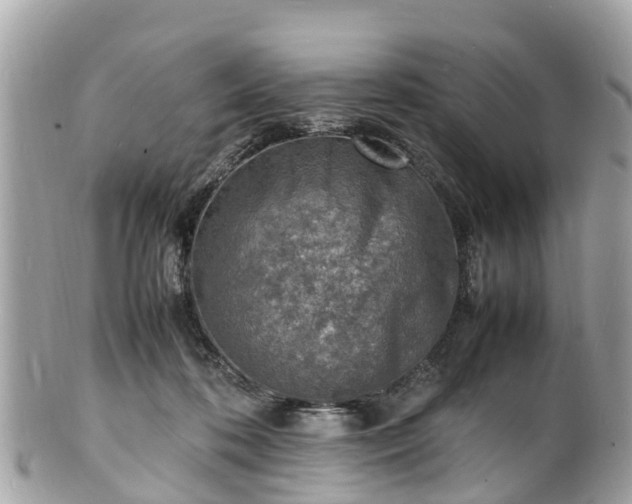 X0000100980316200807011449