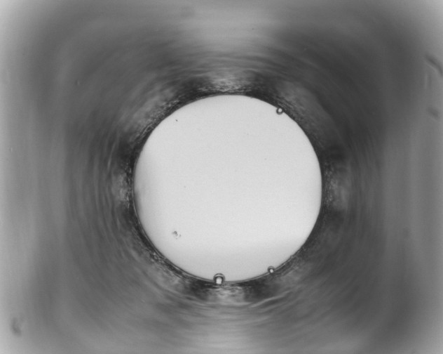 X0000100980317200807011449