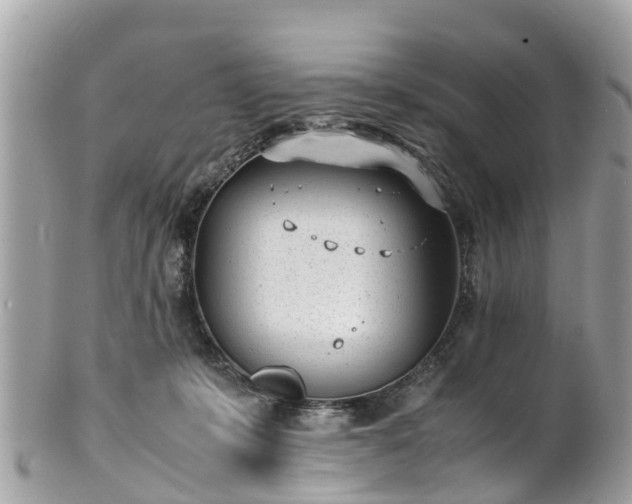 X0000100980319200807011449