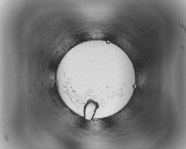 X0000100980321200807011449