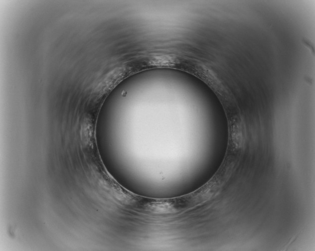 X0000100980322200807011449