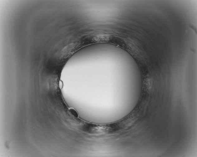 X0000100980323200807011449