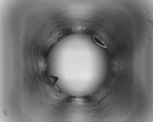 X0000100980324200807011449