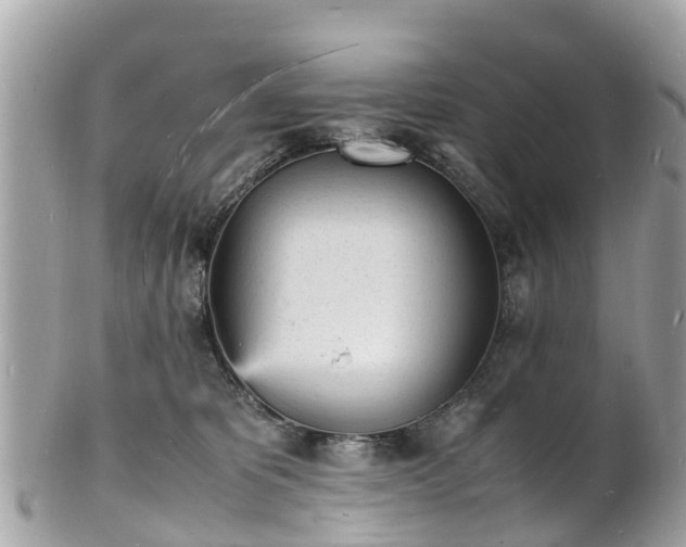 X0000100980325200807011449