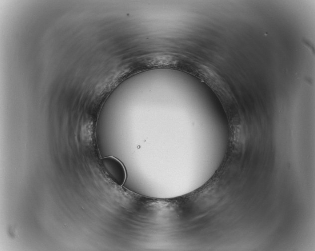 X0000100980326200807011449