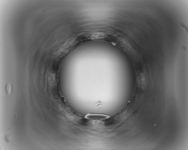 X0000100980327200807011449