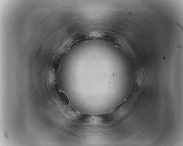 X0000100980328200807011449