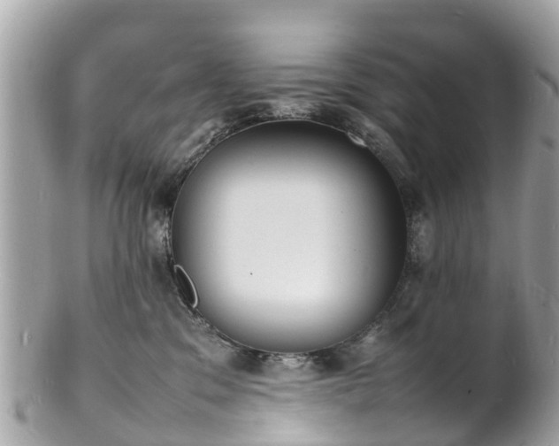 X0000100980329200807011449