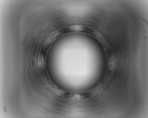 X0000100980330200807011449