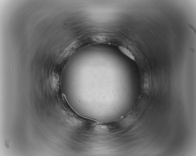 X0000100980332200807011449