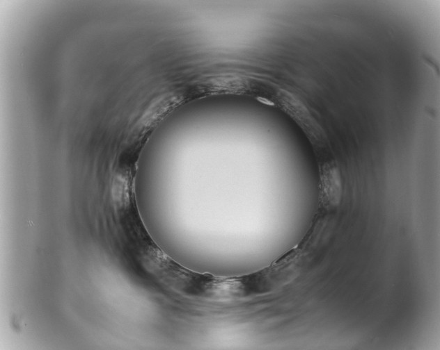 X0000100980333200807011449