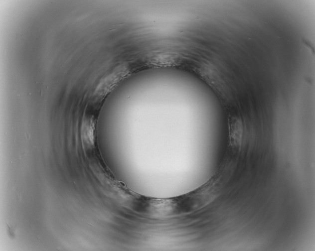 X0000100980334200807011449