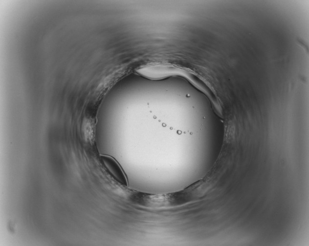 X0000100980335200807011449