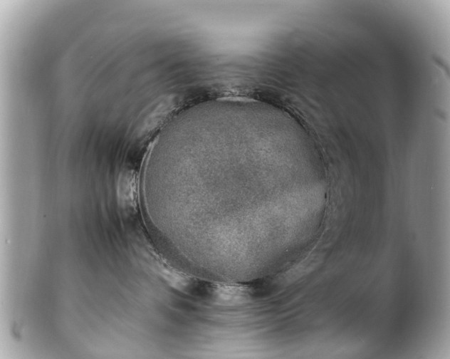 X0000100980336200807011449