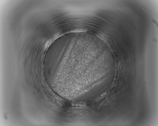 X0000100980337200807011448