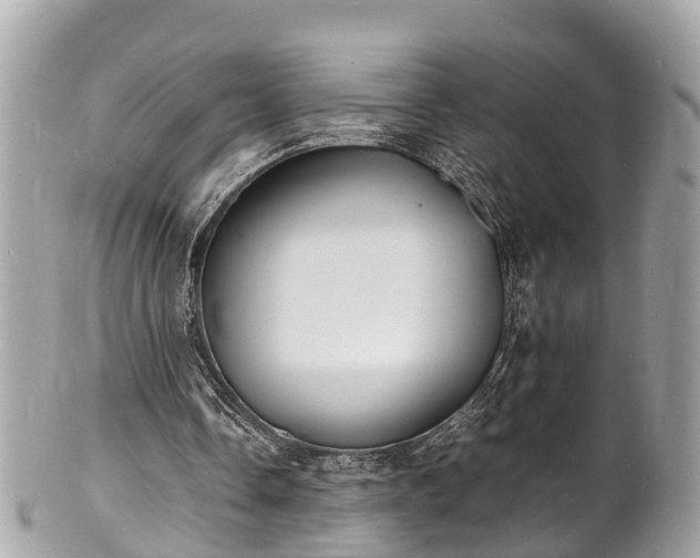 X0000100980338200807011448