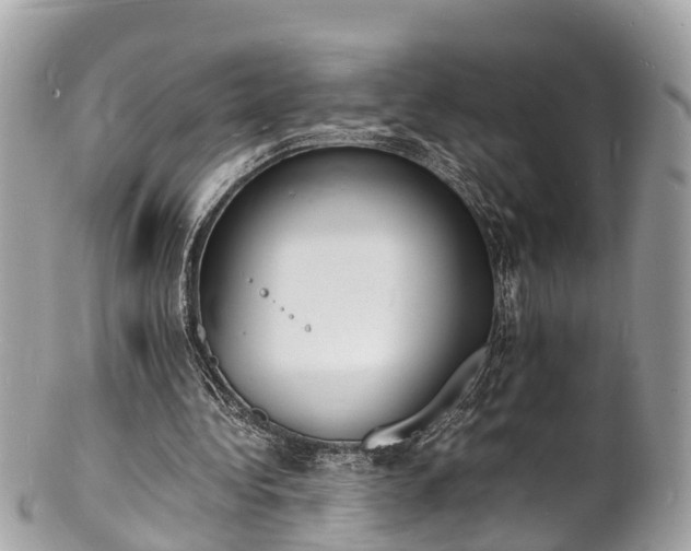 X0000100980340200807011448