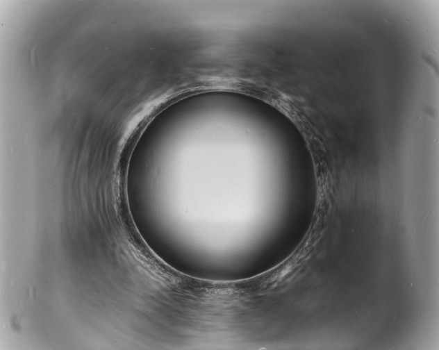 X0000100980342200807011448