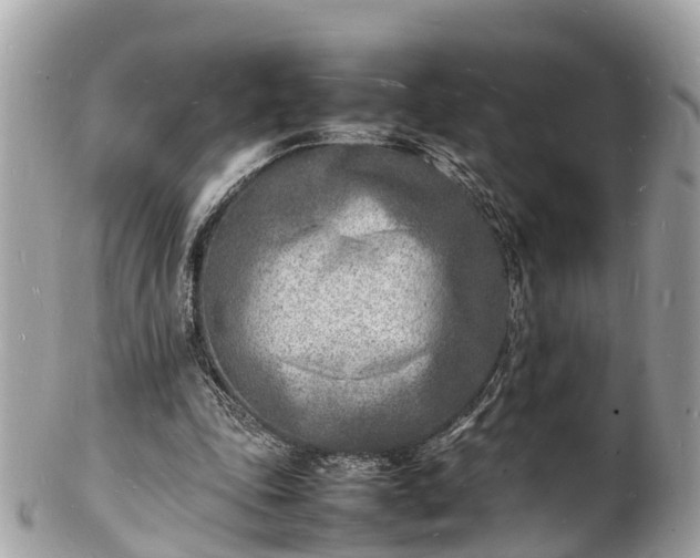 X0000100980343200807011448