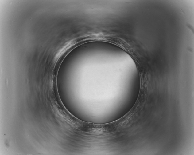 X0000100980344200807011448