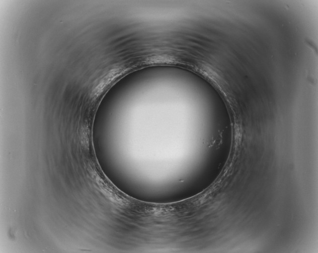 X0000100980345200807011448