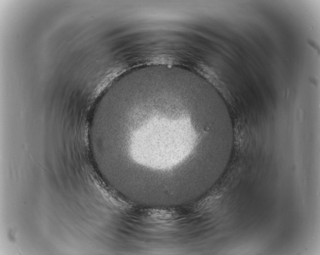 X0000100980347200807011448