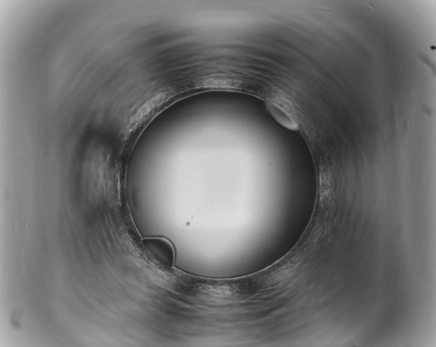 X0000100980349200807011448