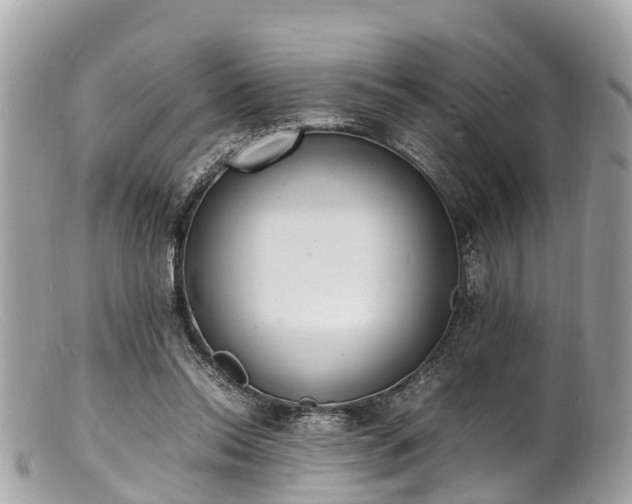 X0000100980350200807011448