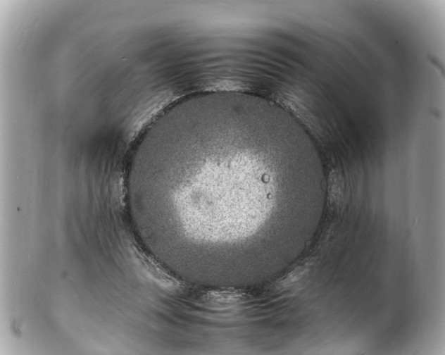 X0000100980351200807011448