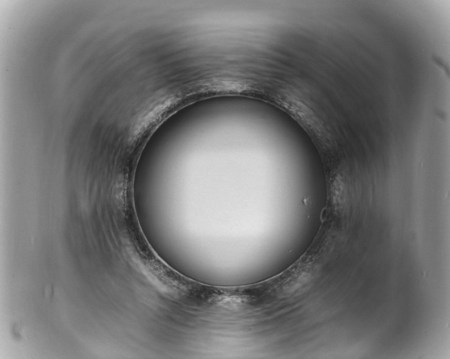 X0000100980352200807011448