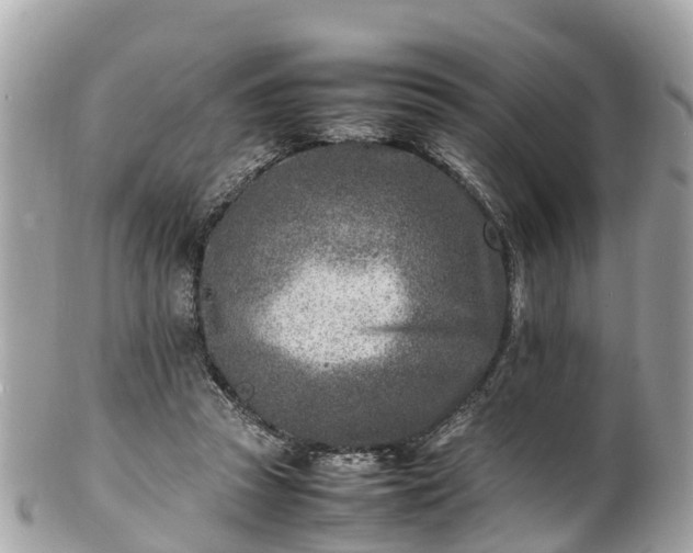 X0000100980353200807011448