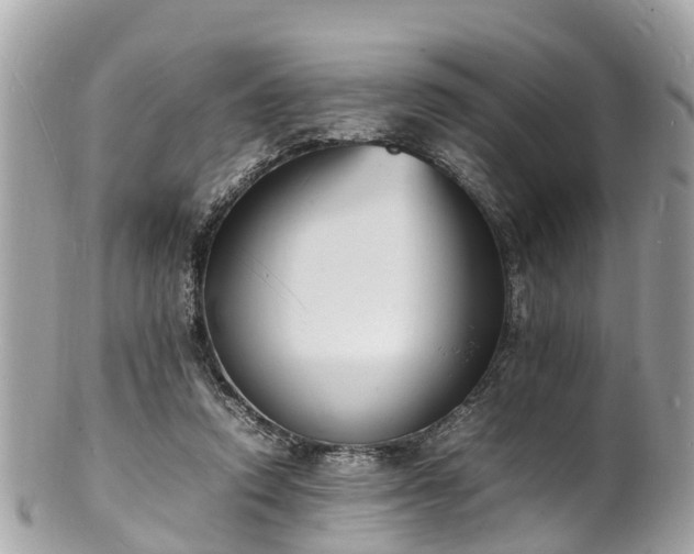 X0000100980354200807011448