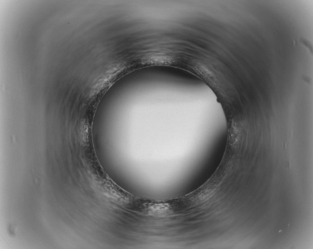 X0000100980355200807011448