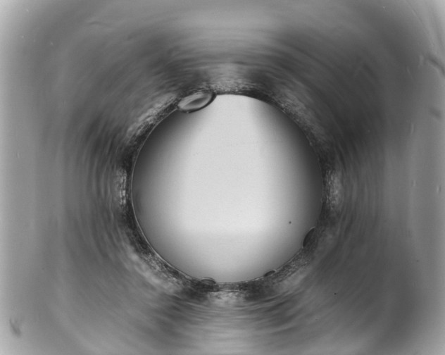 X0000100980356200807011448