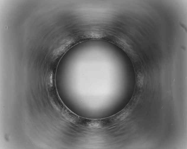 X0000100980358200807011448