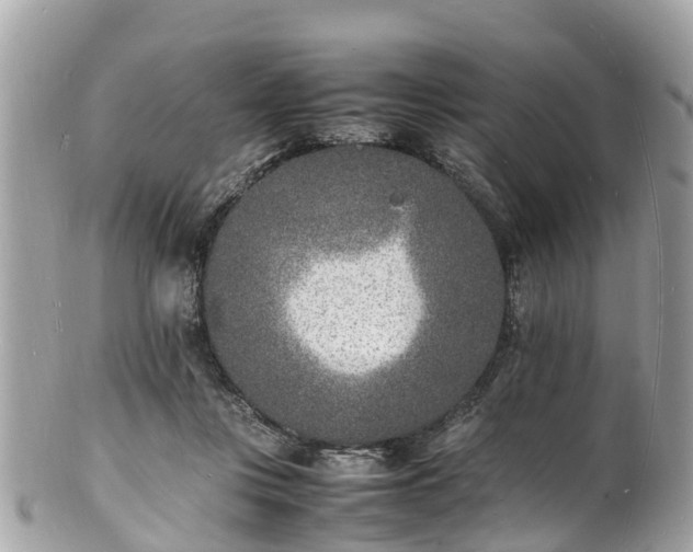 X0000100980359200807011448