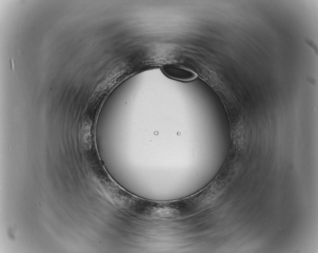 X0000100980360200807011448