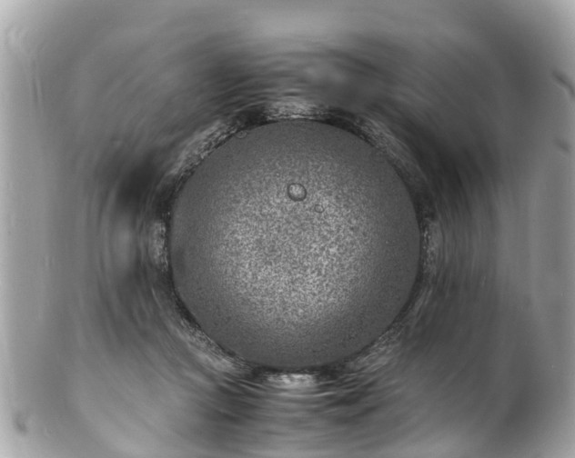 X0000100980361200807011449