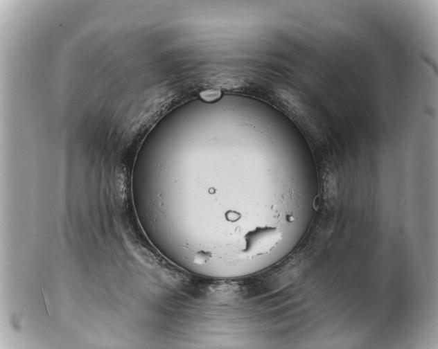 X0000100980362200807011449