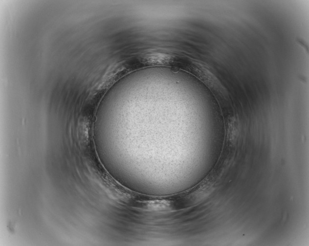 X0000100980363200807011449