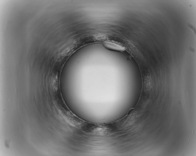 X0000100980364200807011449