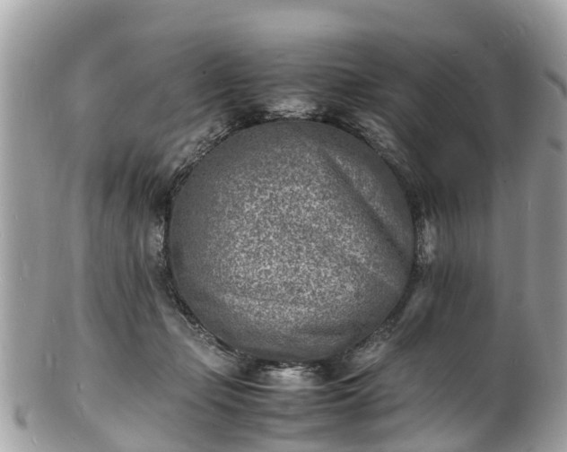 X0000100980365200807011449