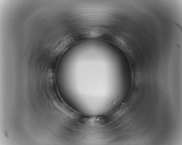 X0000100980366200807011449