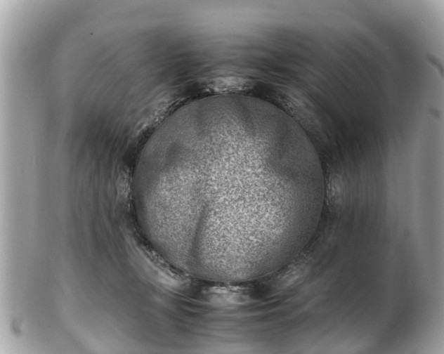 X0000100980367200807011449