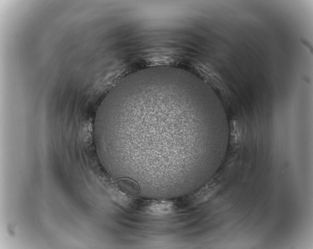 X0000100980369200807011449