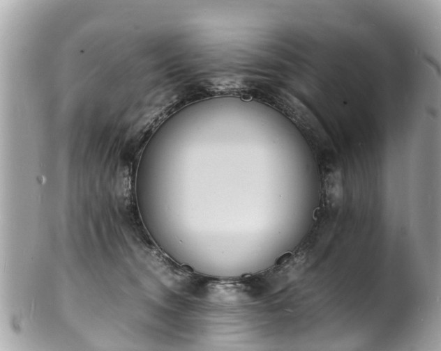 X0000100980372200807011449