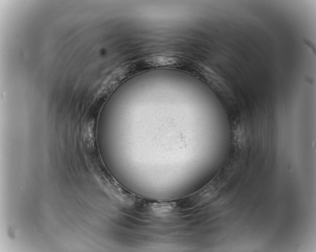 X0000100980373200807011449