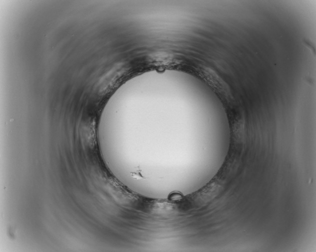 X0000100980376200807011449