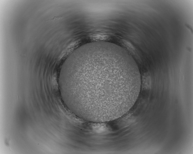 X0000100980377200807011449